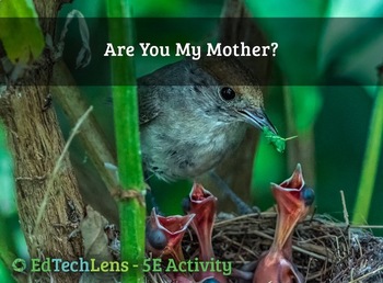 Preview of Are You My Mother? Animal Parent-Offspring Communication - Classroom Activity