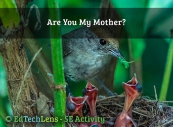 Preview of Are You My Mother - Home User Science Activity Distance Learning