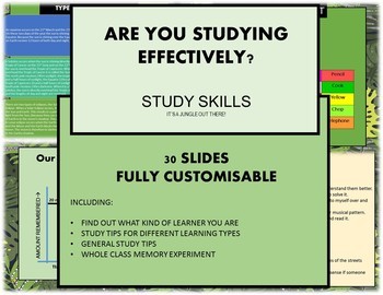 Preview of Are You Studying Effectively? Study Skills and Learning Types