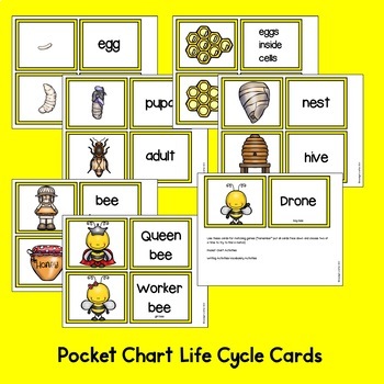 Queen Bee Life Cycle Chart