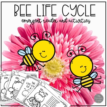 Preview of Bee Life Cycle