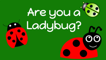 Are You A Ladybug By Haley Hemmert Teachers Pay Teachers