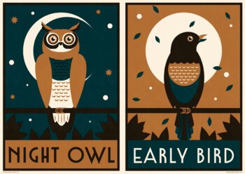 Preview of Are you a night owl or an early bird?