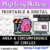 Area and Circumference of Circles: Math Mystery Picture