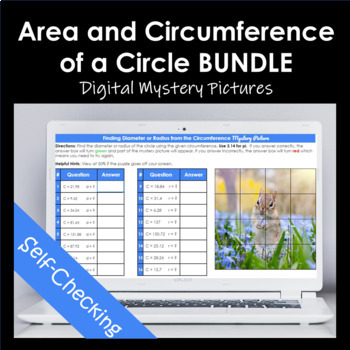 Preview of Area and Circumference of a Circle Digital Mystery Picture Bundle
