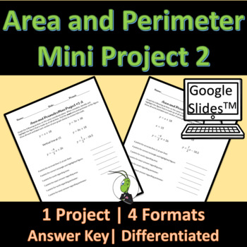 Preview of Area and Perimeter with Linear Graphing Mini Project 2 Google Slides | Geometry