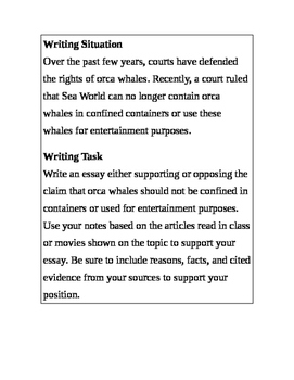 Argument Essay Based on Orka Whales and Animal Cruelity by Michele Panzera