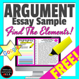 Argumentative Writing Sample Argument Essay Text FREE