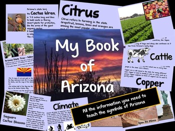 Preview of Arizona Information Guide