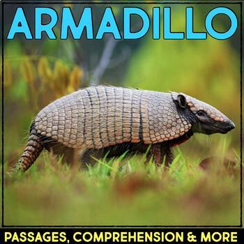 Preview of Armadillo Reading Passage & Comprehension Activities Animal Nonfiction Research