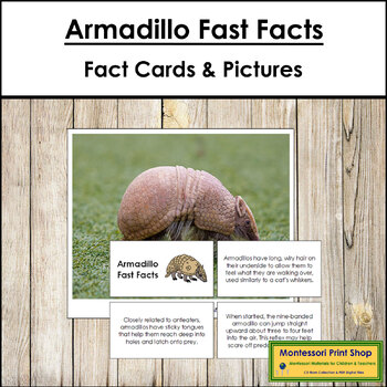 Armadillo Fast Facts - Montessori Zoology Cards & Pictures