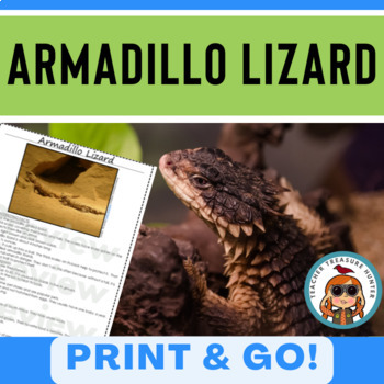 Armadillo Lizard Research Page For Desert Animal Informative Writing Report