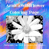 Arnica Wildflower Coloring Page | Jr. High and High School