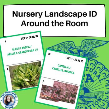 Preview of Around the Room - Nursery Landscape ID - JUNIOR - Set 1