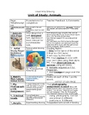 Art Animals Thematic Unit of Study Task Sheet for a Quarte