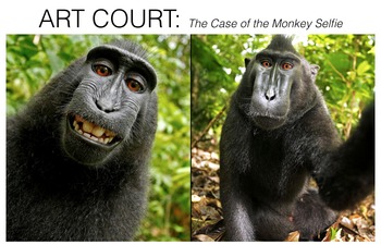 Preview of Art Court: The Case of the Monkey Selfie