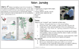 Art In Nature: Nature Journaling