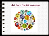 Art Inspired by Cells, Bacteria and Microscopic Things PPT
