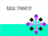 Art Lesson: Introduction to Radial Symmetry (No-Prep; Remo