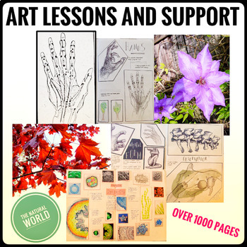 Preview of Visual Art Lesson Plans & Support. Middle and High School - Nature