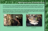 Art & Technology Education- Professional Experiences