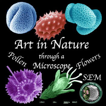 Preview of Art in Nature with Pollen and Flower Images for Printable and Digital Viewing