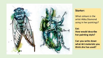 Preview of Art lesson- Abby Diamond, Insect watercolour page.