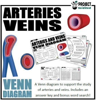 Arteries And Veins Venn Diagram By Project Science Tpt