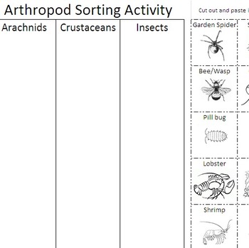 Preview of Arthropod Sorting Activity