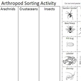 Arthropod Sorting Activity