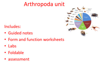 Preview of Arthropod Unit bundle