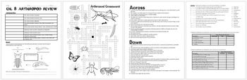 Arthropod (insects-arachnids-crustaceans) Review Worksheet for Biology