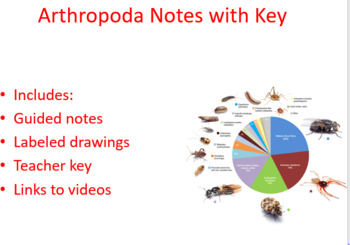 Preview of Arthropoda notes bundle