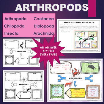 Preview of Arthropods (Arachnid, Insect, etc) Vocabulary Activity - FOREVER FREE