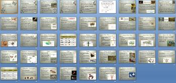 Preview of Arthropods Crustaceans Insects Arachnids Unit Bundle - 9 Files