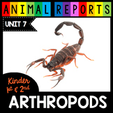 Arthropods Research and Reports Insects - Scorpions Dragon