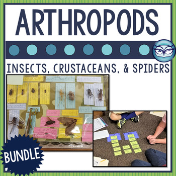 Preview of Arthropods Science Unit Bundle