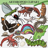Arthropods! (Zoology, Life Cycle, and Anatomy Clipart and 