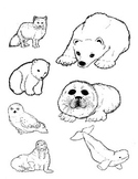 Artic Animal Commercial Clipart in Black and White