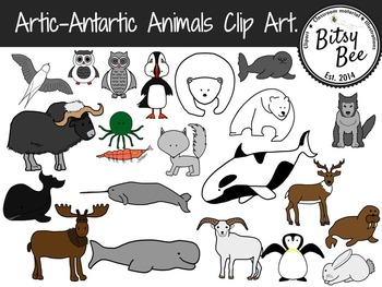 Preview of Artic, Antartic Animals. (Clip Art)