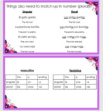 Articles, Nouns, and Adjective Agreement- Editable!