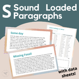Articulation Activity: Sound Loaded Paragraph Stories Carr