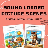 Articulation Activity: Sound Loaded Picture Scene Carryover for S
