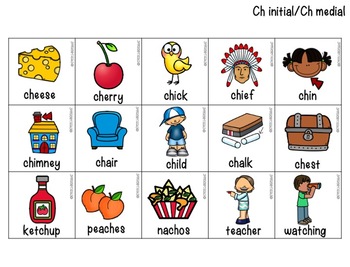 Articulation Progress Monitoring for Speech Therapy | Editable Data ...