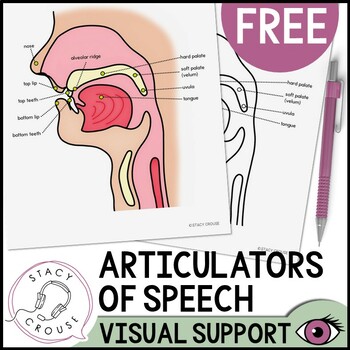 Preview of Articulators for Speech Visual Support Diagram for Articulation Speech Therapy