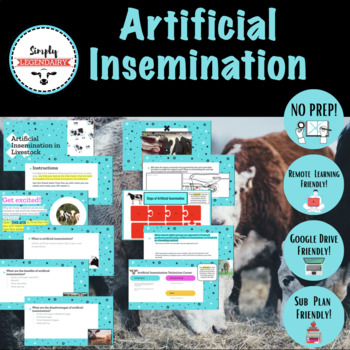 Preview of Artificial Insemination- Animal Science Reproduction- No Prep! Remote Friendly!