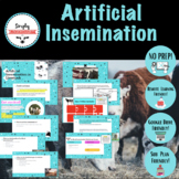 Artificial Insemination- Animal Science Reproduction- No P