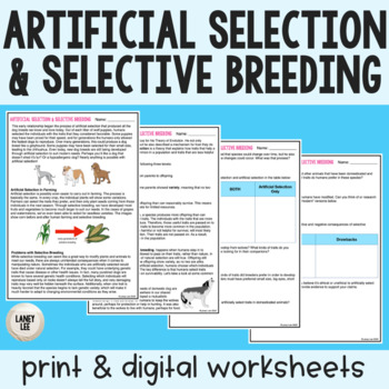 Preview of Artificial Selection & Selective Breeding - Reading Comprehension Worksheets