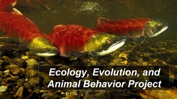 Preview of Artifishal- Ecology, Evolution, and Animal Behavior mini unit