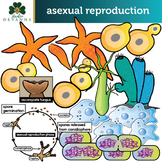 Asexual Reproduction Clip Art Set